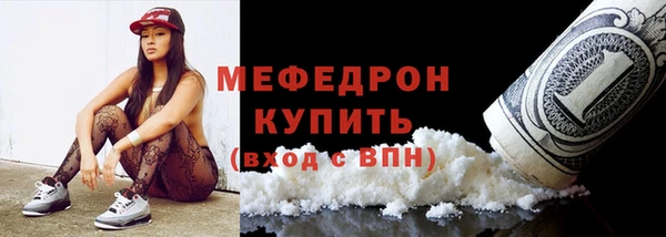 стаф Ельня