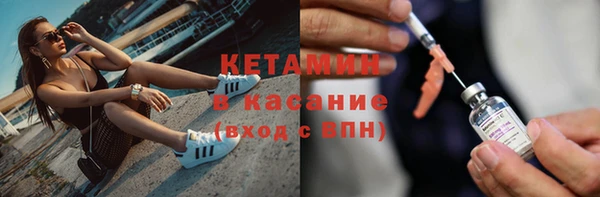 шишки Тавда