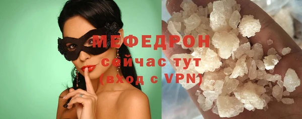 стаф Ельня