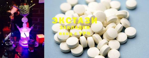 стаф Ельня