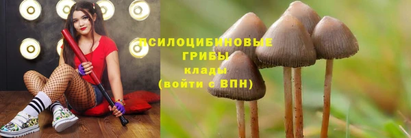 стафф Елабуга