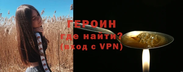 стаф Ельня