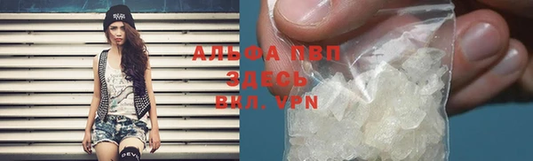 стаф Ельня