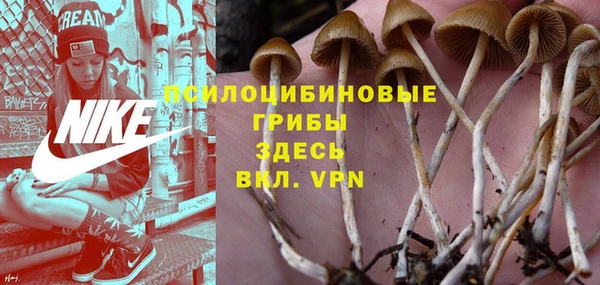 герыч Елизово