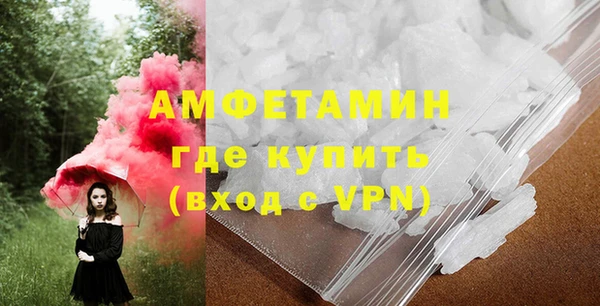 стаф Ельня