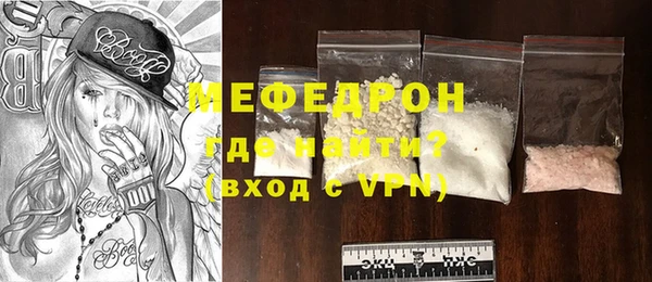 стаф Ельня