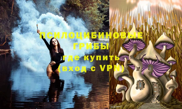 стафф Елабуга