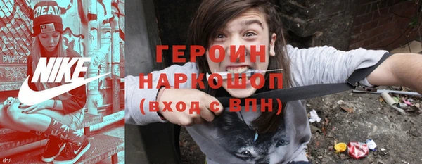 стаф Ельня