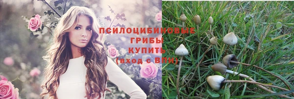 стафф Елабуга