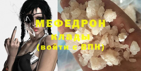 стаф Ельня