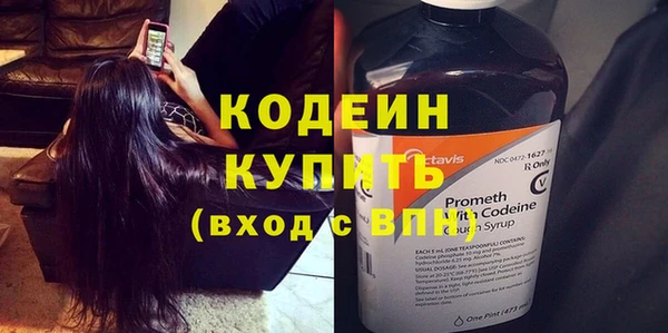 стаф Ельня
