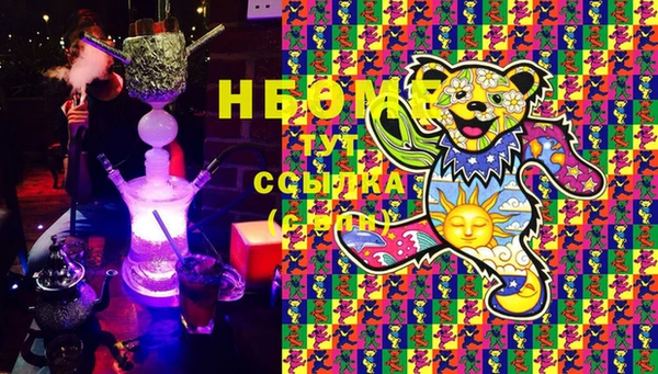 стаф Ельня