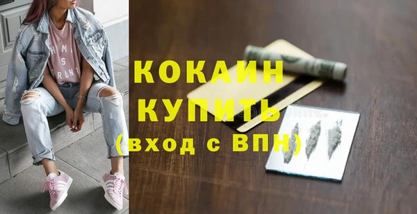 стаф Ельня