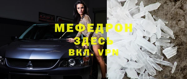 стаф Ельня