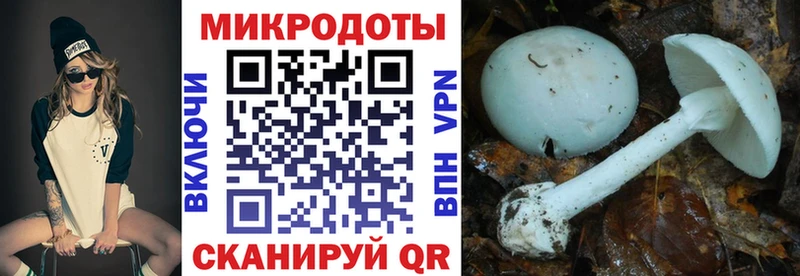 гидра tor  как найти наркотики  Вичуга  Галлюциногенные грибы мухоморы 
