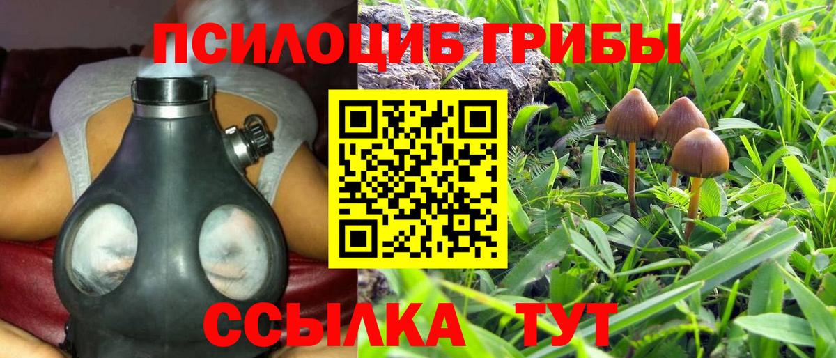 Псилоцибиновые грибы MAGIC MUSHROOMS Вичуга