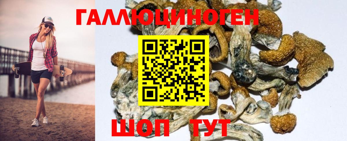 Псилоцибиновые грибы мухоморы  Вичуга 